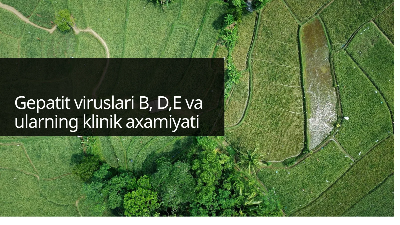 GepatitviruslariB, D,Evaularningklinikaxamiyati
