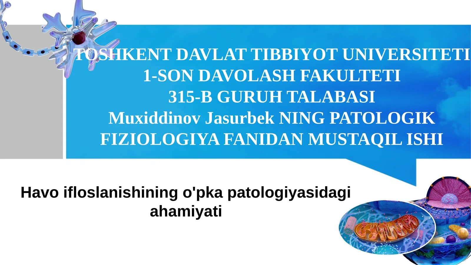 Havo ifloslanishining o'pka patologiyasidagi ahamiyati