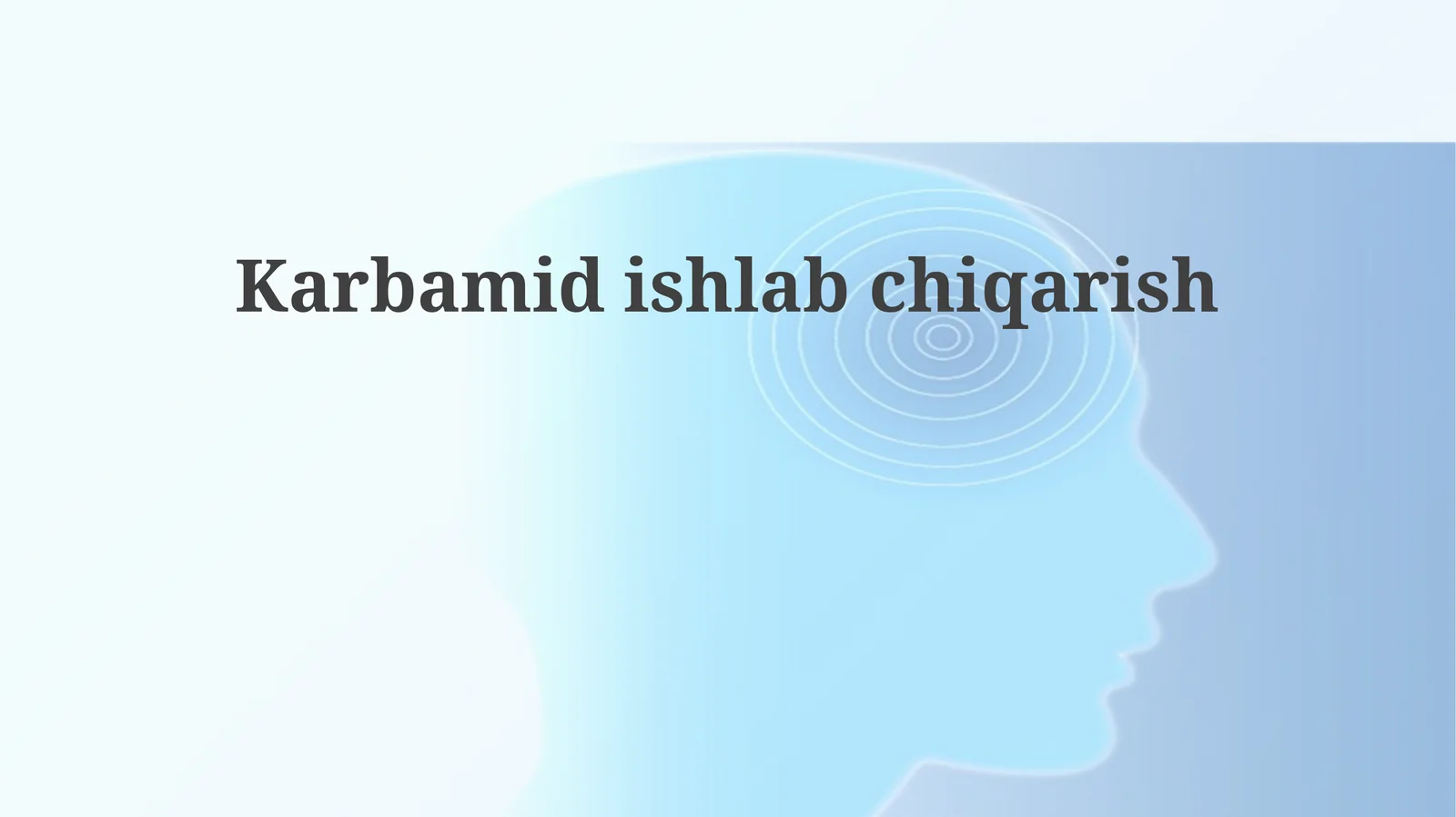 Karbamidishlabchiqarish
