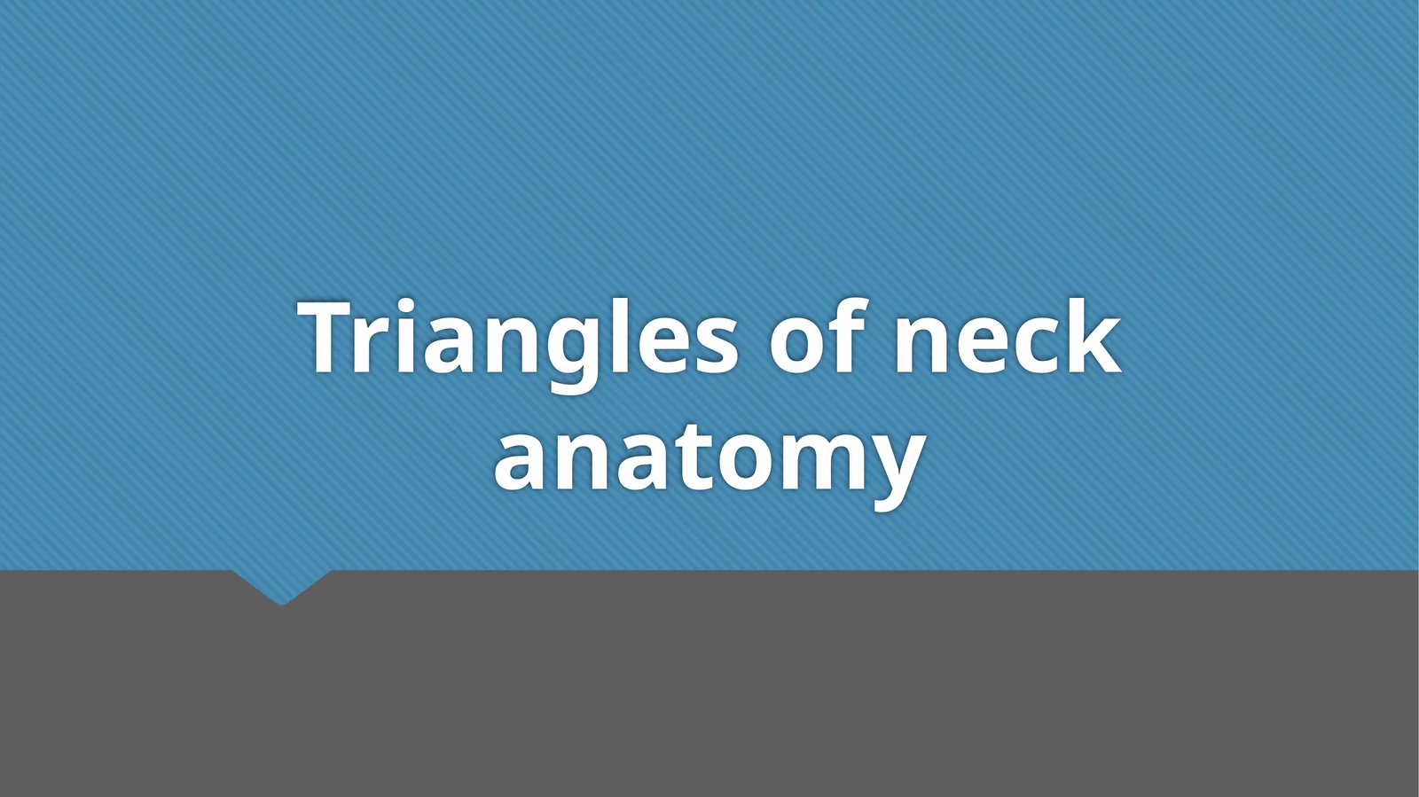 Triangles of neck anatomy