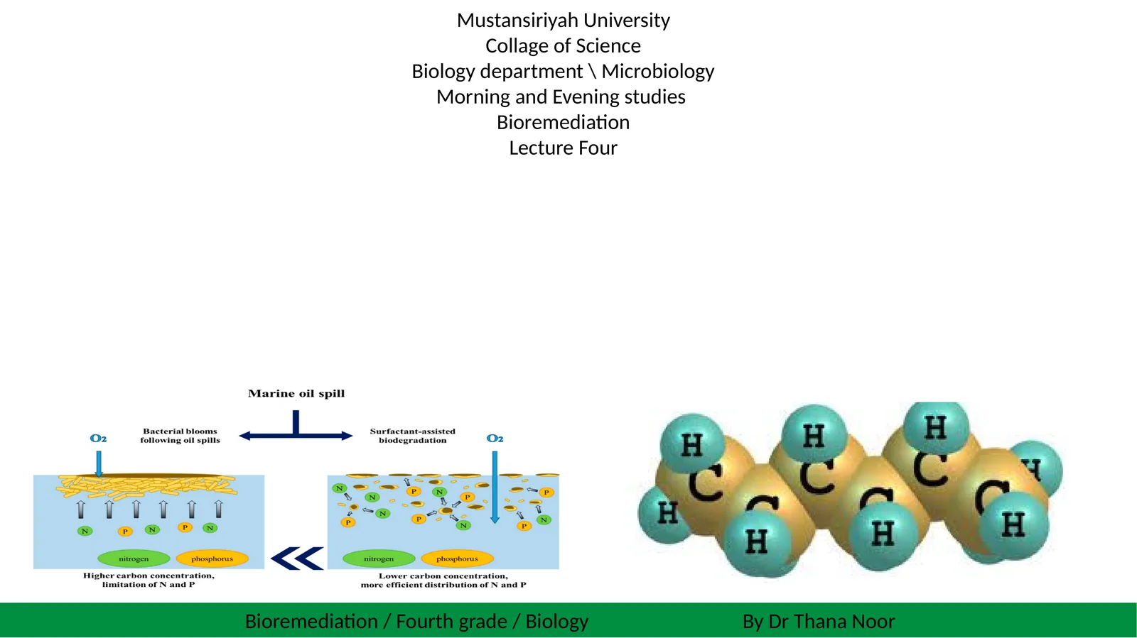 Bioremediation / Fourth grade / Biology By Dr Thana Noor