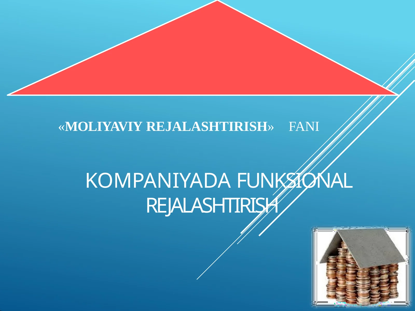 KOMPANIYADA FUNKSIONAL REJALASHTIRISH