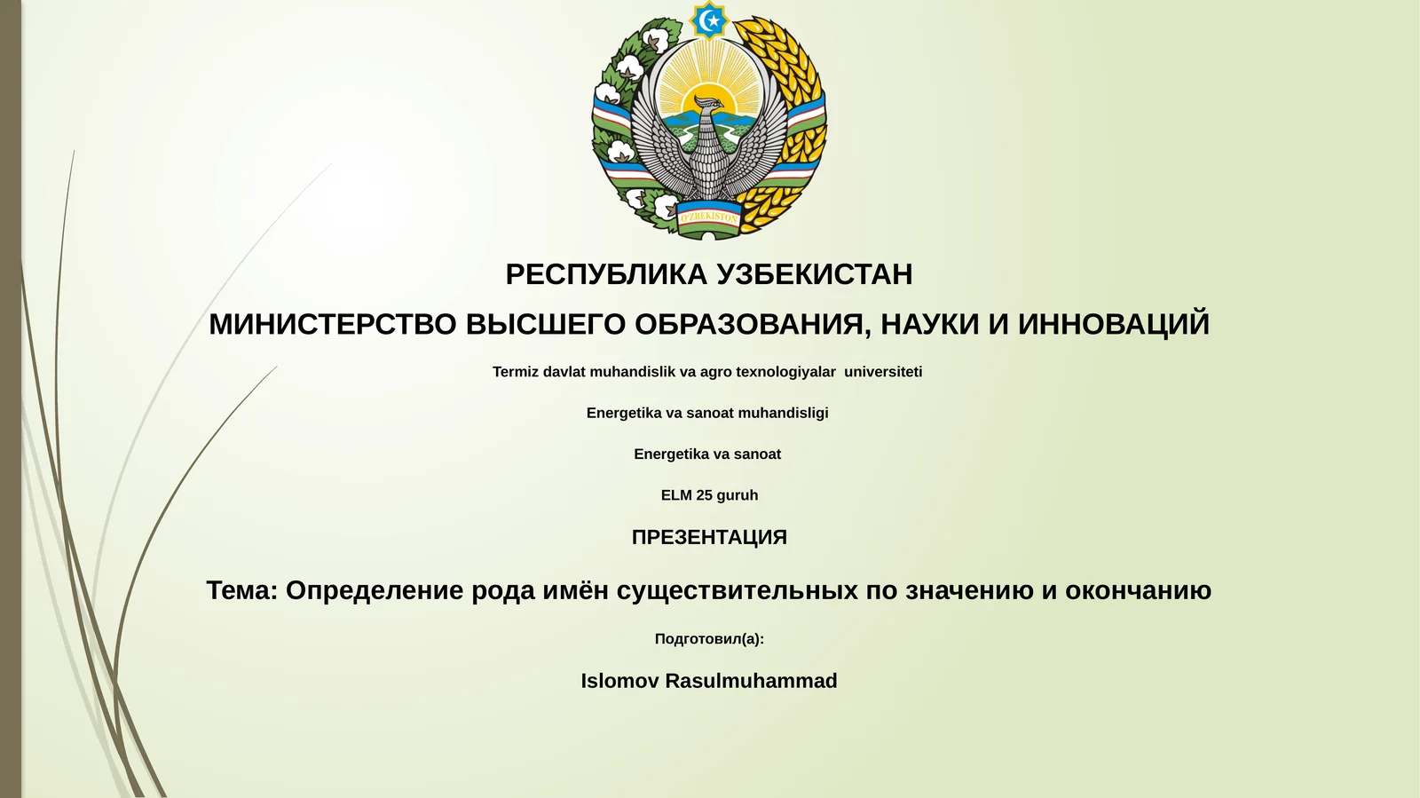 Определение рода имён существительных по значению и окончанию