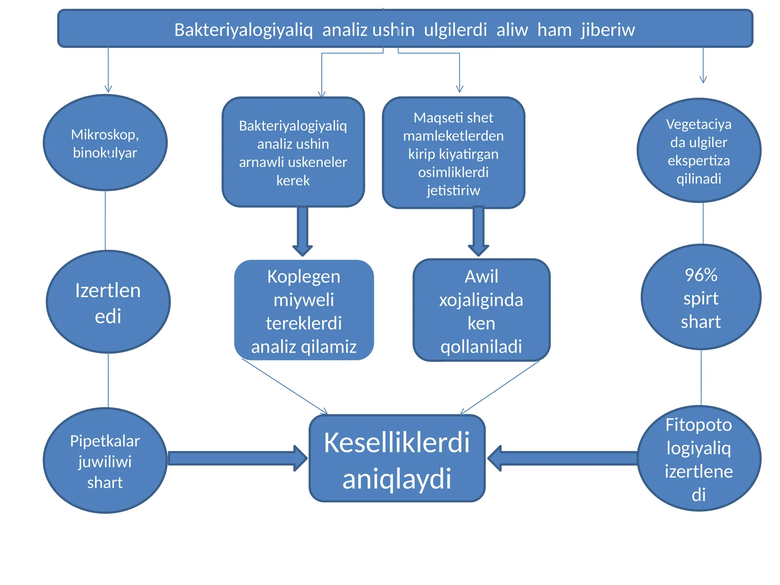 Bakteriyalogiyaliqanalizushinulgilerdialiwhamjiberiw
