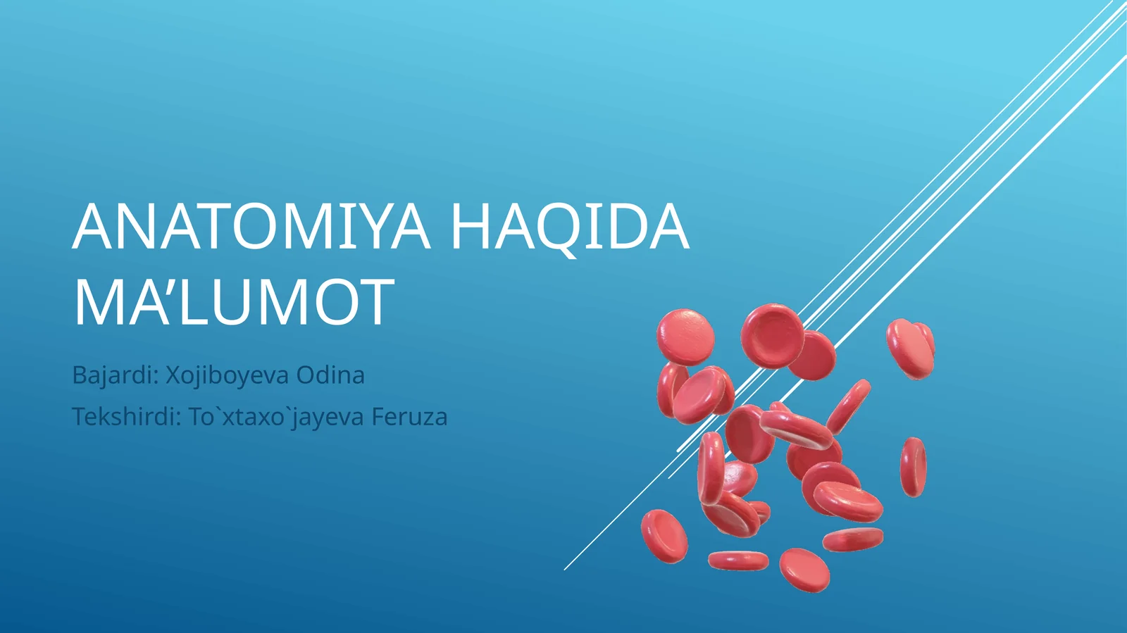 Anatomiyahaqidama’lumot