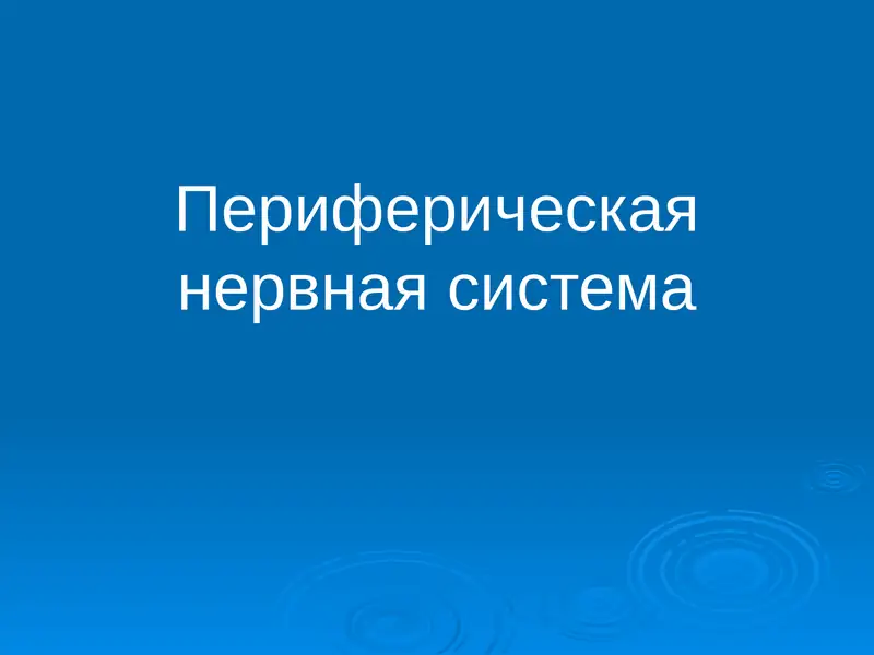 Периферическая нервная система