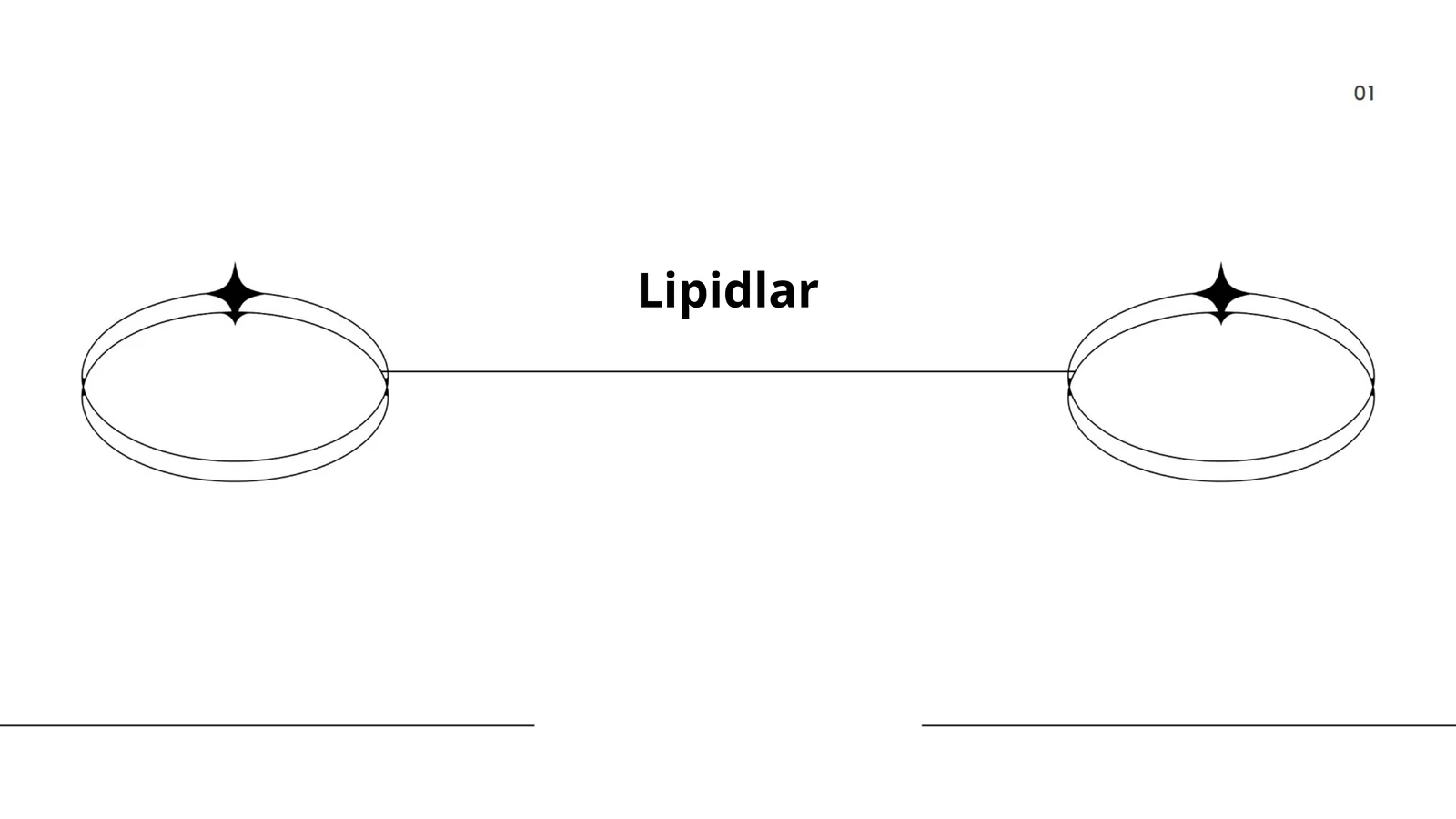 Lipidlar