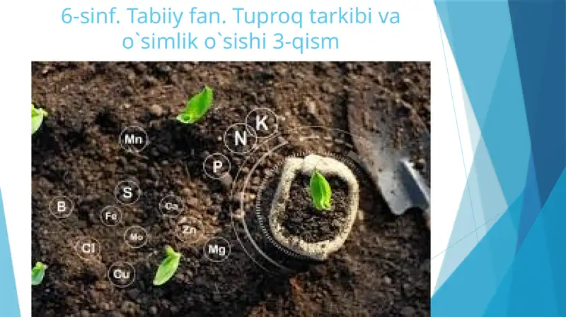 Tuproq tarkibining o'sishi 3-qism
