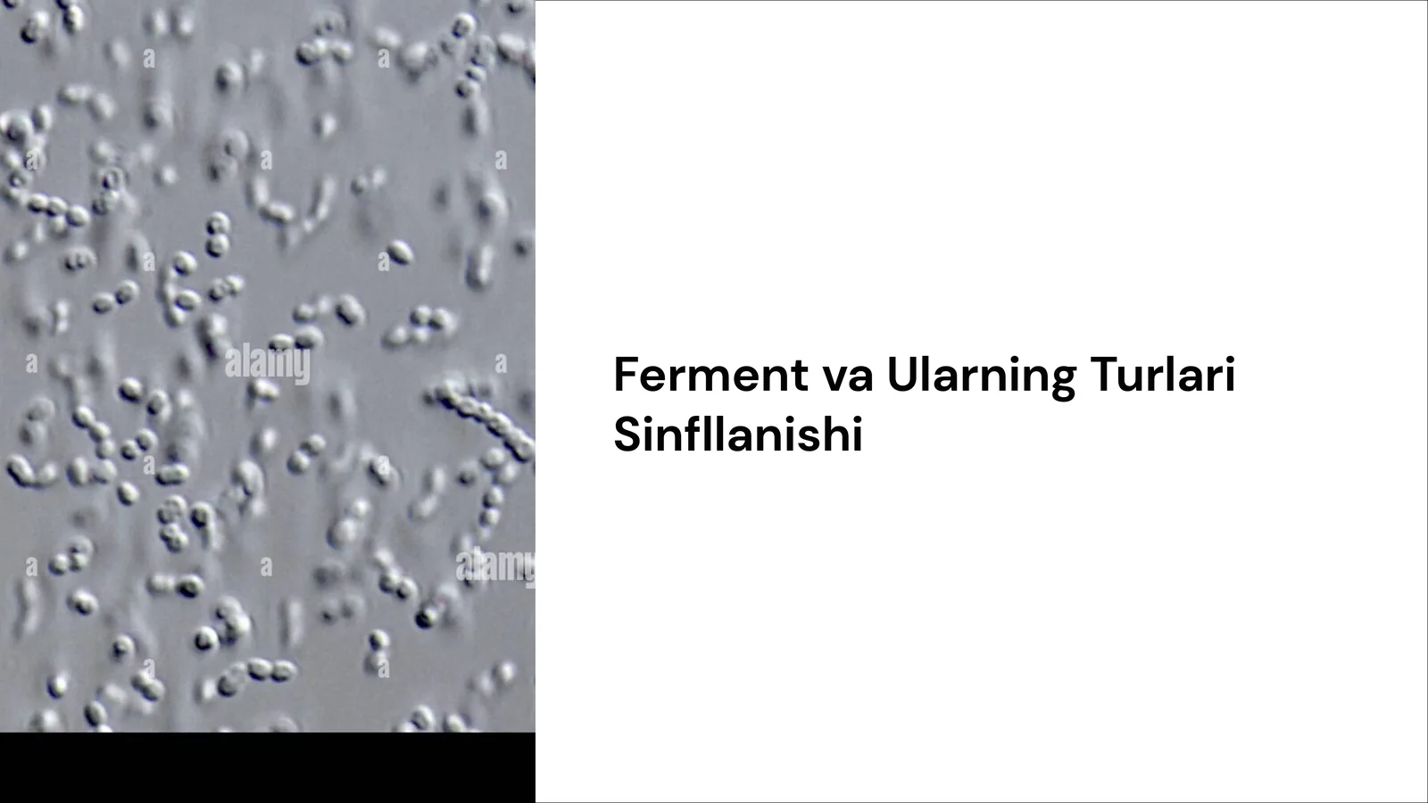Ferment va Ularning Turlari Sinfllanishi