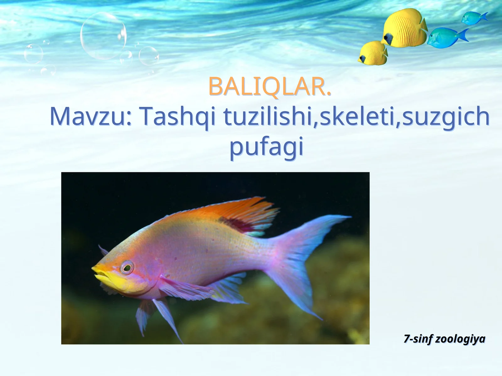 BALIQLAR