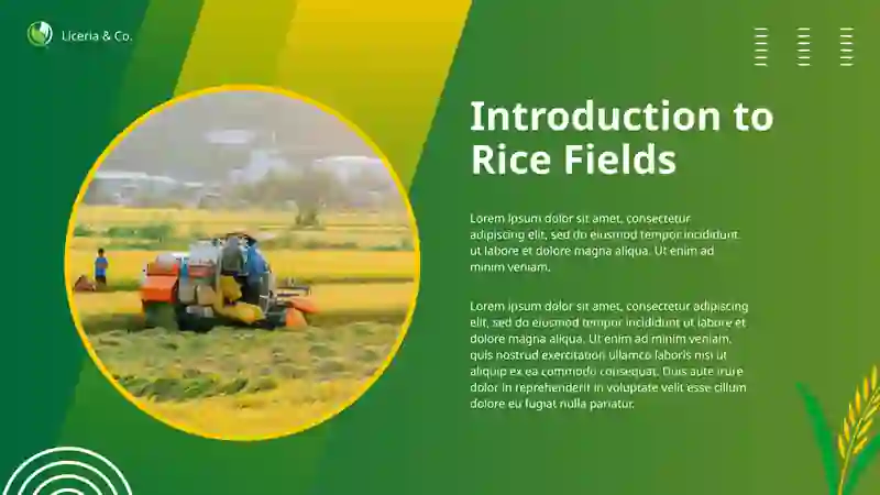 Introduction to Rice Fields