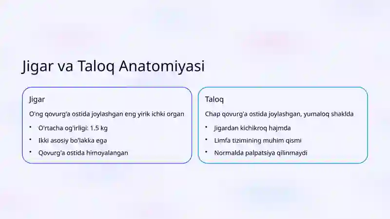 Jigar va Taloq Anatomiyasi