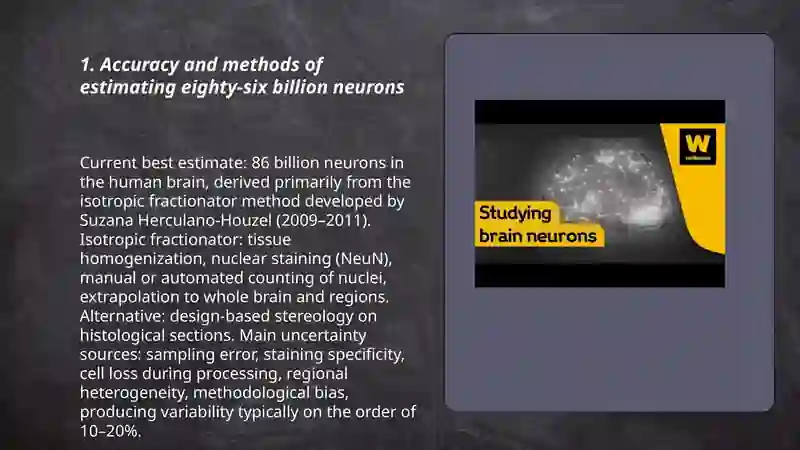 Synaptic connectivity in the human brain