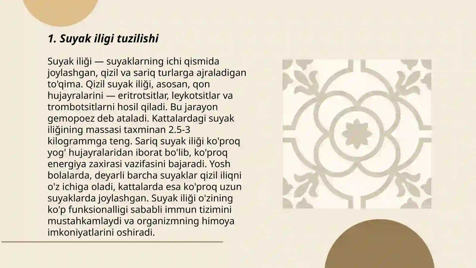 Suyak iligi: tarakkiyoti, tuzilishi, vazifasi. Kizil ilik, sarik ilik