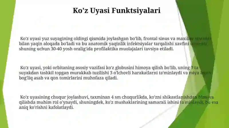 Ko'z uyasi anatomiyasi