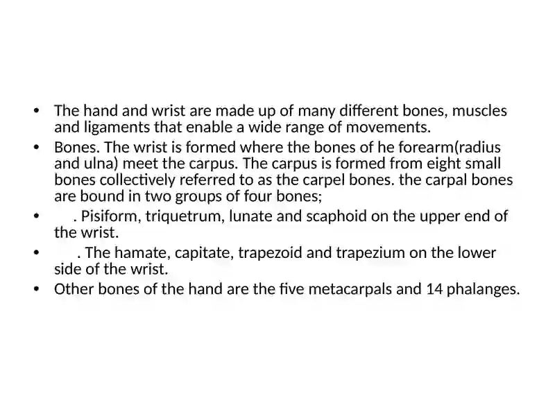 CLINICAL ANATOMY OF THE HAND