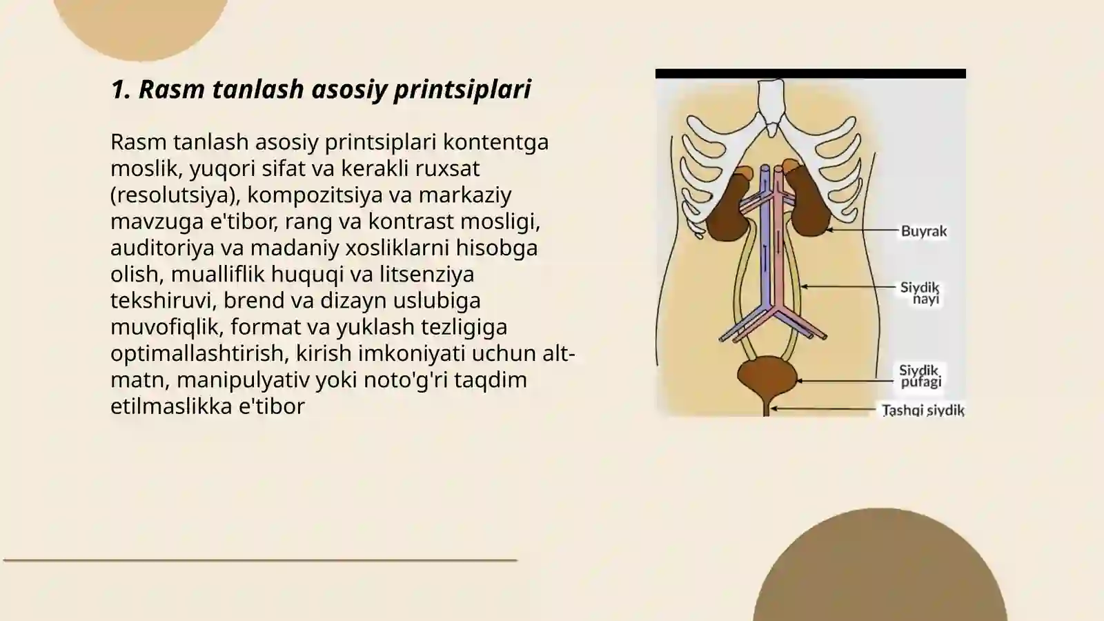Rasm tanlash asosiy printsiplari