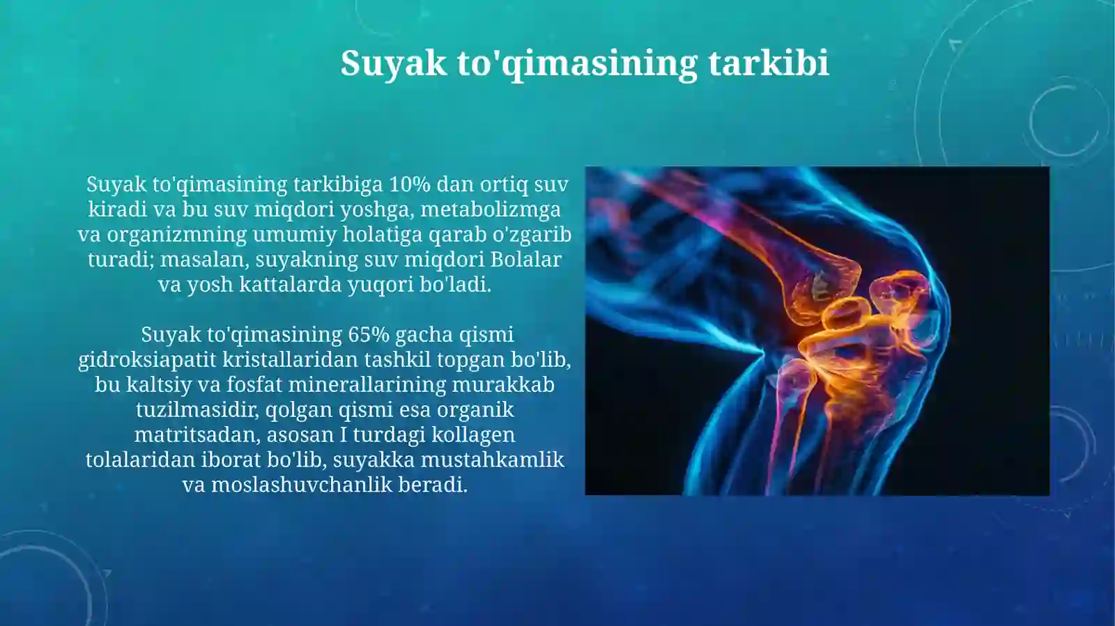 Suyak toʻqimasi.birikishi.Boʻlim yuzalarining xillari va boʻgʻim turlari