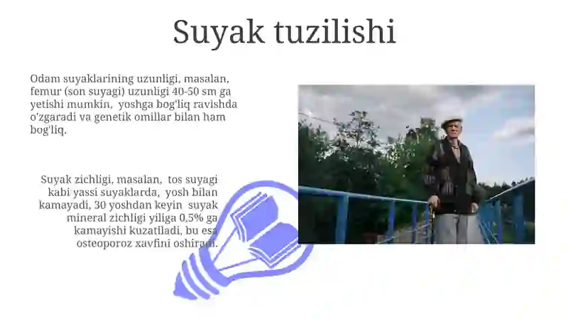 Suyak tuzilishi