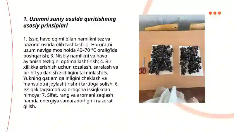 Uzumni suniy usulda quritish