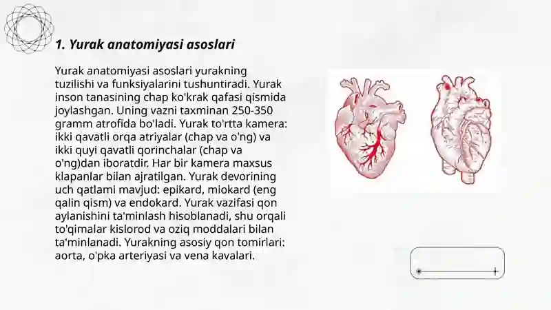 Yurak anatomiyasi va fiziologiyasi. Yurak qon tomirlari