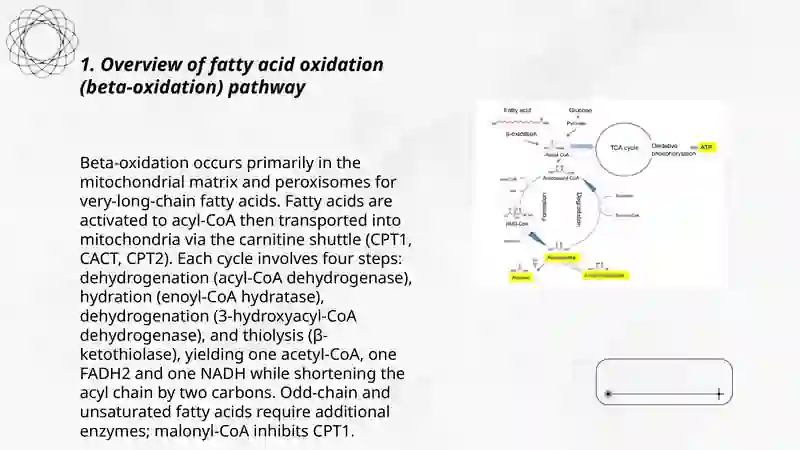 Fatty Acid Oxidation and Ketone Bodies