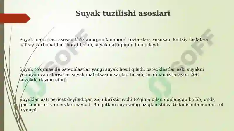 Suyak Tuzilishi va Funksiyalari