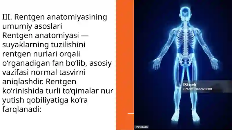 Skelet suyaklarining rentgen anatomiyasi