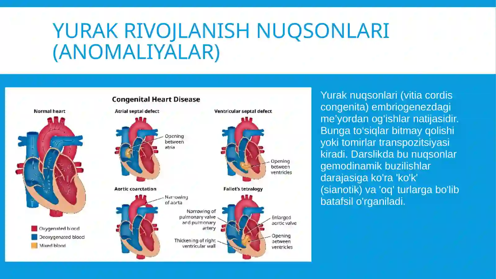 Anatomiya fanidan mustaqil ish/yurAK