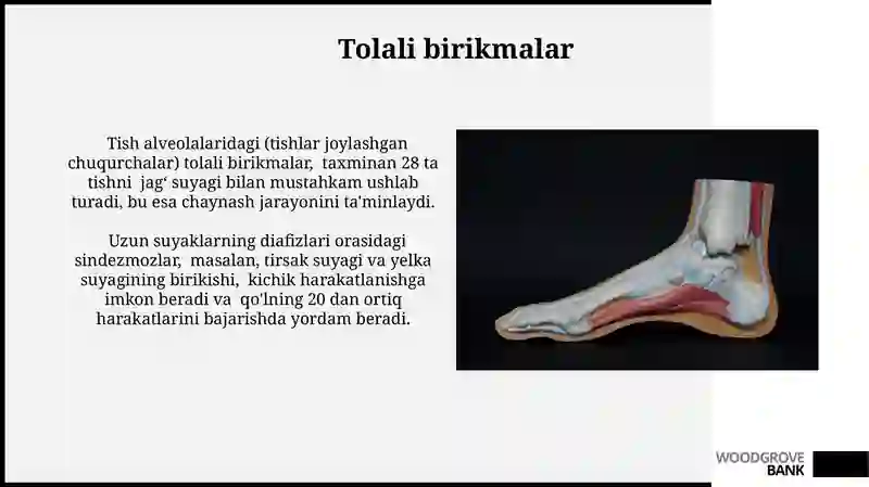 Suyak toʻqimasi
