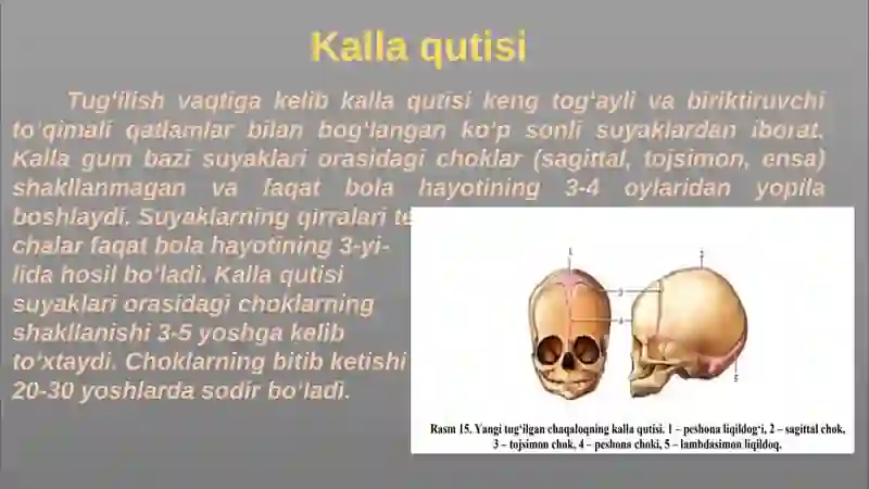 Bolalar suyak va mushak tizimini jarohatlanish semiotkasi va sindromlari