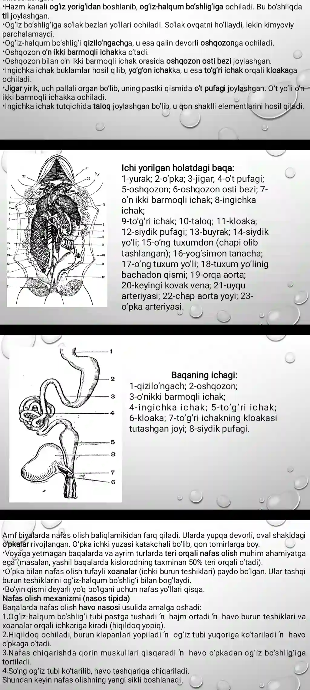 virusalogiya fanidan taqdimot