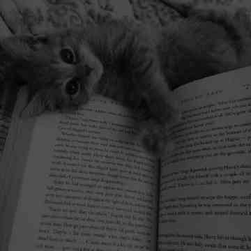 Mexriniso Shavkatova