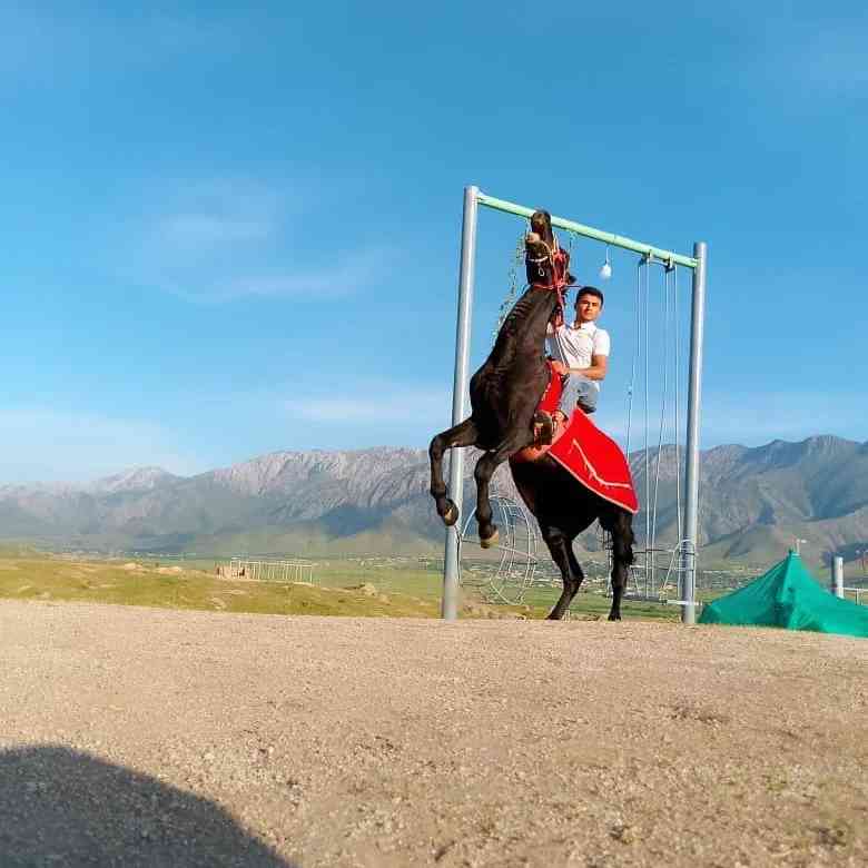 Shohjahon Muxammadiyev