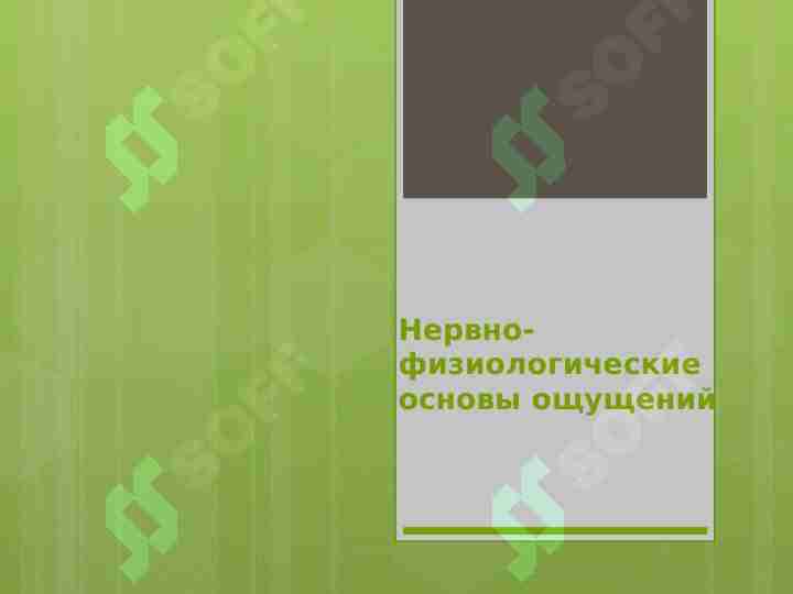 Нервно-физиологические основы ощущений