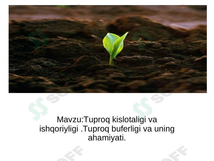 Tuproq kislotaligi va ishqoriyligi . Tuproq buferligi va uning ahamiyati