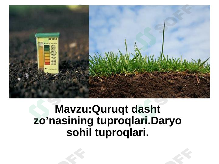 Quruq dasht zonasining tuproqlari . Daryo sohil tuproqlari