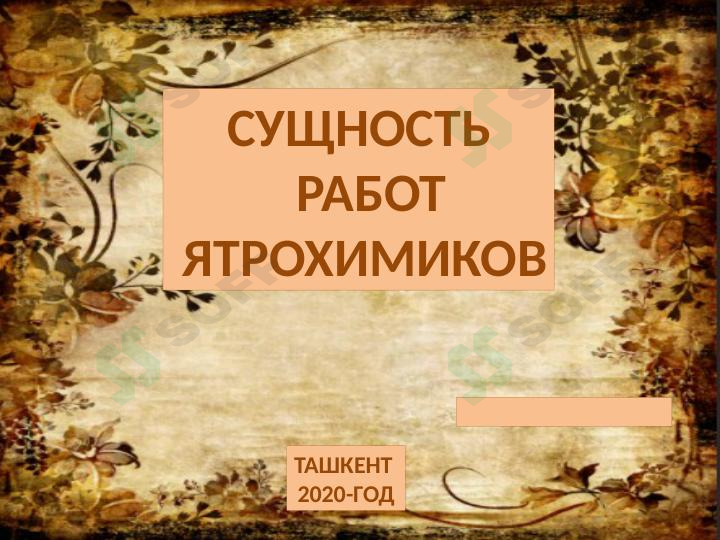 Сущность работ Ятрохимиков