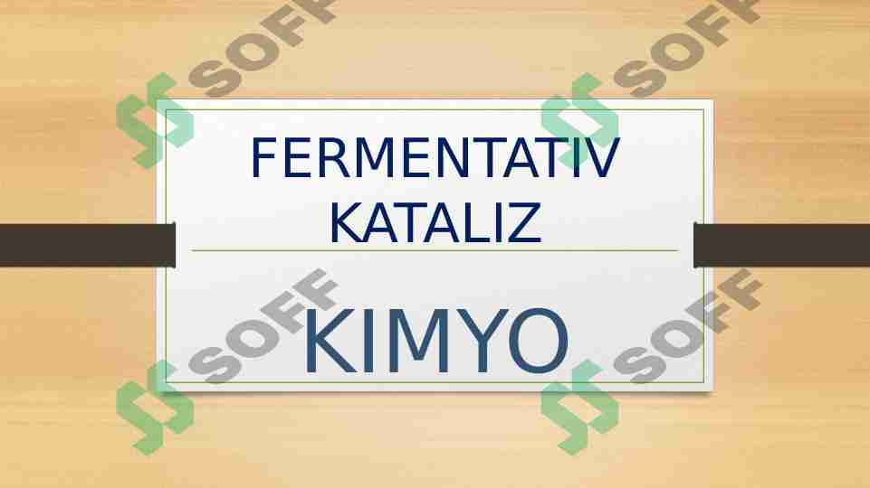 FERMENTATIV KATALIZ
