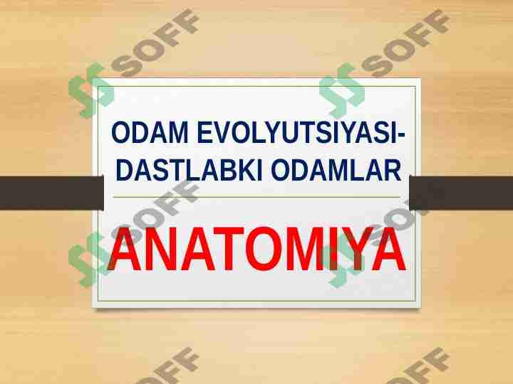 ODAM EVOLYUTSIYASI-DASTLABKI ODAMLAR