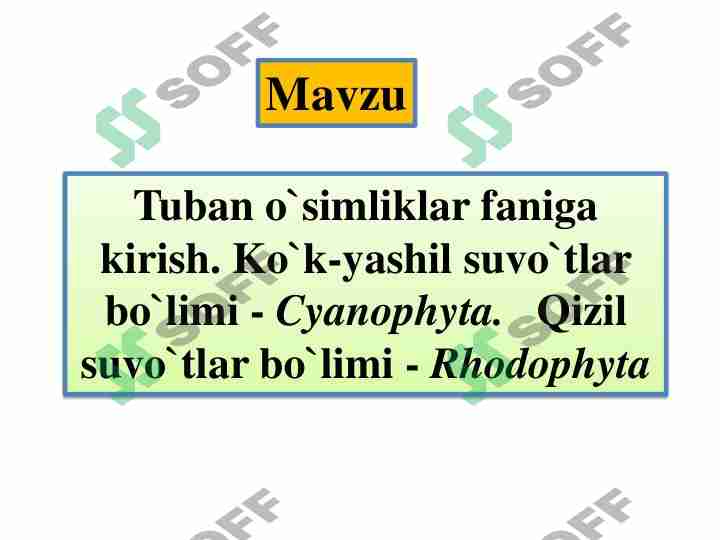 Koʻk yashil suvoʻtlar sinf