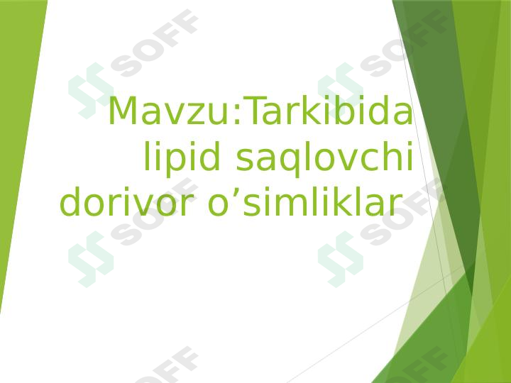 Tarkibida lipidlar saqlovchi dorivor oʻsimliklar