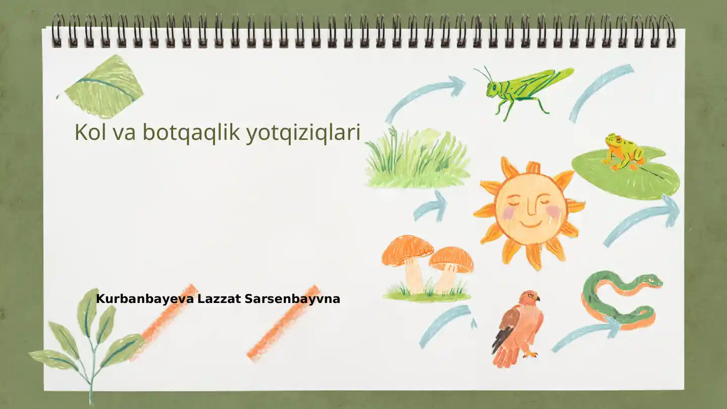 Kol va botqaqlik yotqiziqlari
