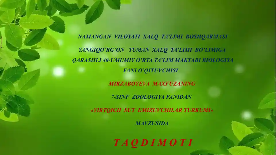 Yirtqich sut emizuvchilar turkumi