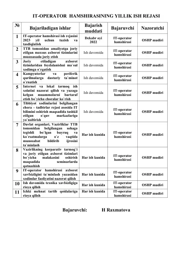 IT-OPERATOR HAMSHIRASINING YILLIK ISH REJASI