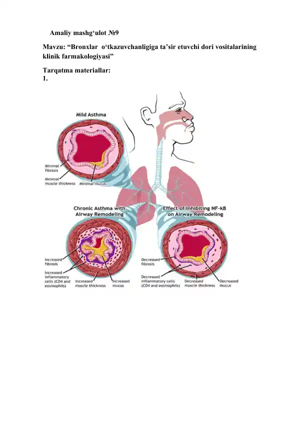 Bronxlar o‘tkazuvchanligiga ta’sir etuvchi dori vositalarining klinik farmakologiyasi