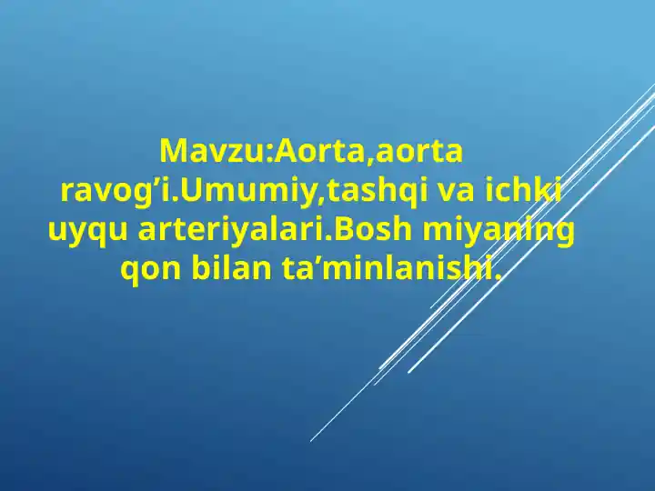Aorta va Aortaravogi