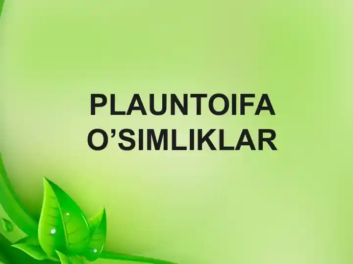 PLAUNTOIFA O’SIMLIKLAR