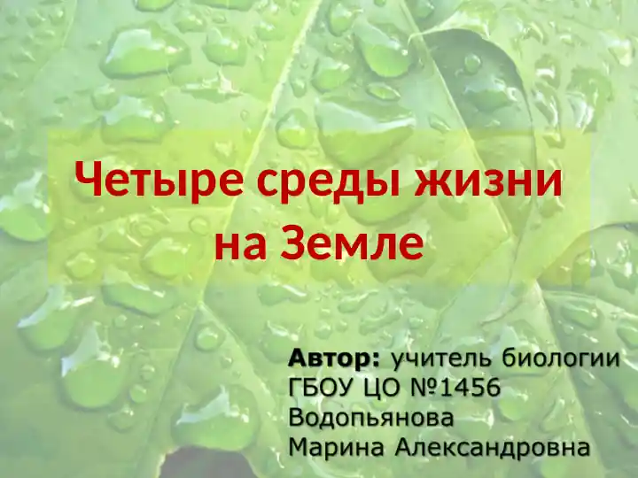 Четыре среды жизни на Земле