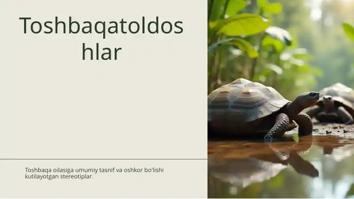 Toshbaqatoldoshlar